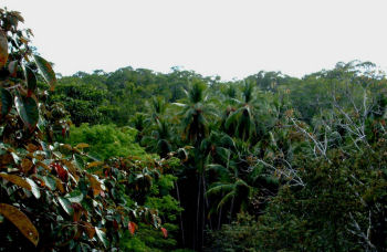panama