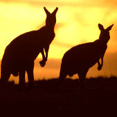 Lavorare in Australia