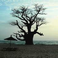 Sognavo di far amare il Senegal