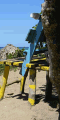 caraibi