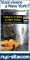 ny city