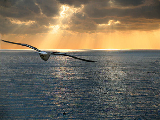 Partire attraverso le cose