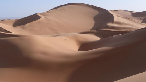 deserto algeria - oasi