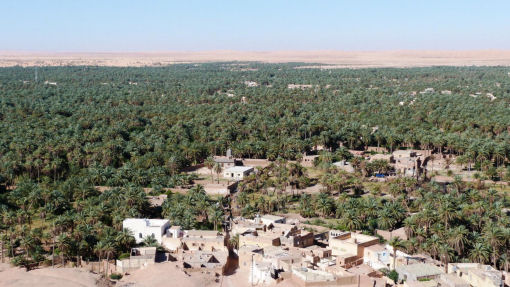 deserto algeria - oasi deserto algeria - oasi