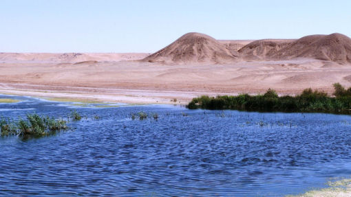 deserto algeria - oasi deserto algeria - oasi