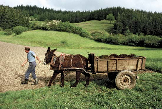 agricoltore imprenditore agricolo