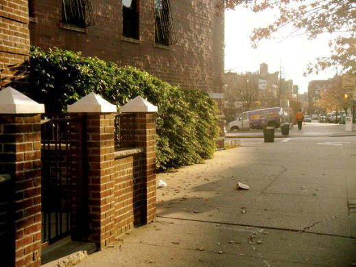 New York City pics by Beatrice Avallone