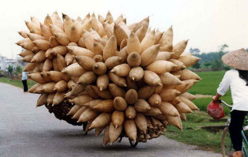 sud est asiatico moto sud est asiatico moto