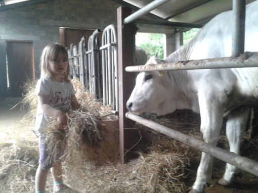 agriturismo Valdifiori