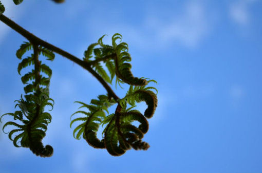 Viaggiare in Nuova Zelanda