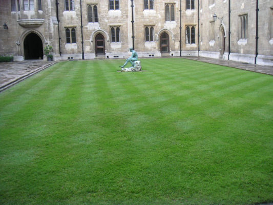 rotoli di erba imprenditore agricolo