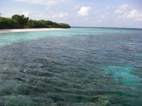 MALDIVE: Isola di Keyodhoo 