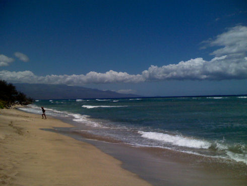 SPIAGGE HAWAIANE SPIAGGE HAWAIANE