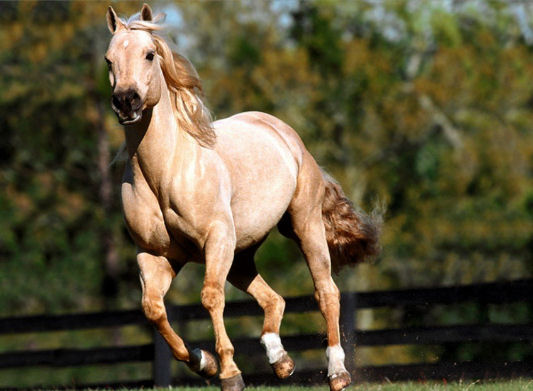 voglio vivere cambiamenti