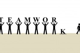 TUTTI HANNO UN LAVORO