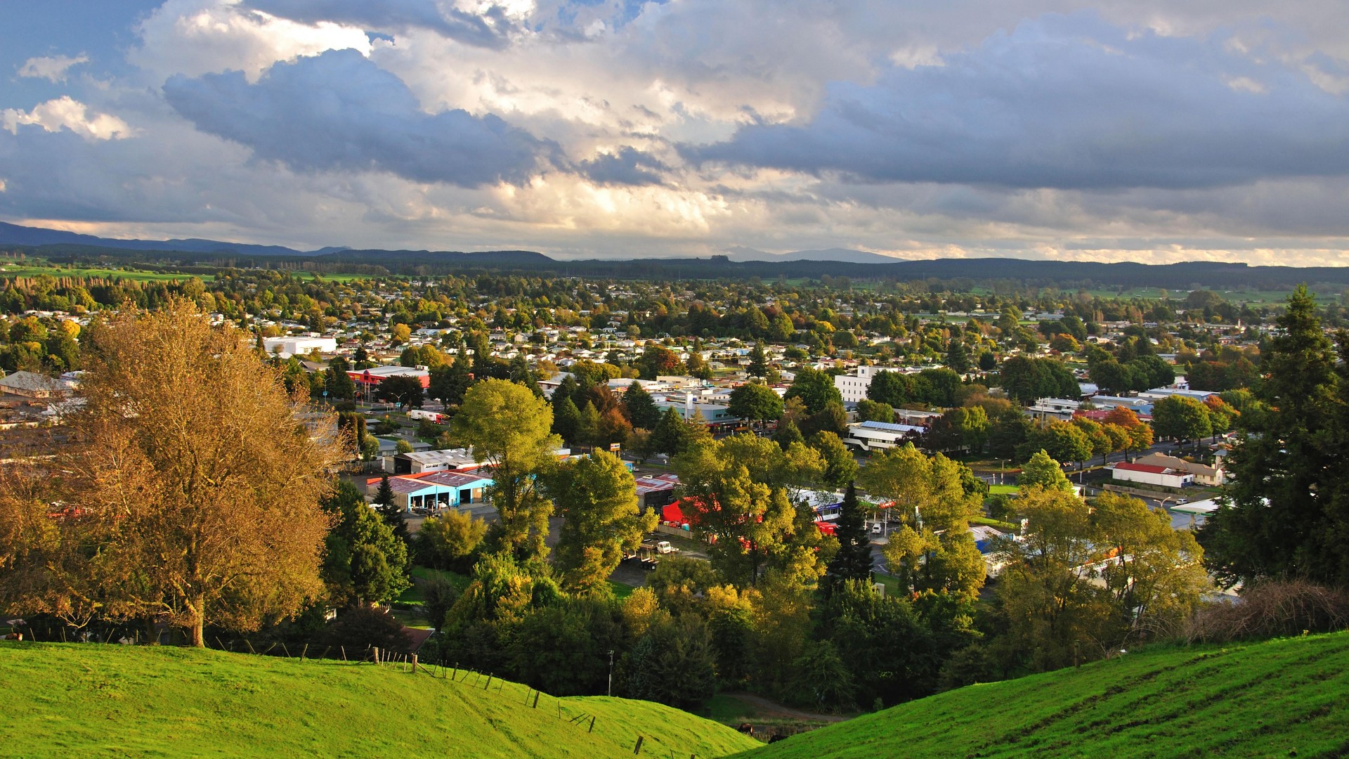 il lavoro che nessuno vuole fare
