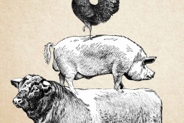 Arianna Porcelli Safonov - fottuta campagna