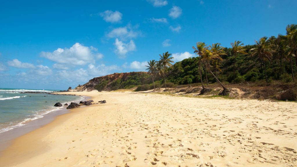 tutto sui viaggi in brasile