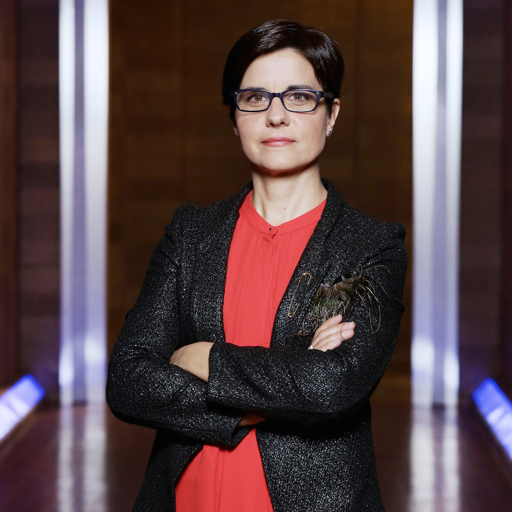 Mariarita Costanza, Nicola Lavenuta e la MacNil