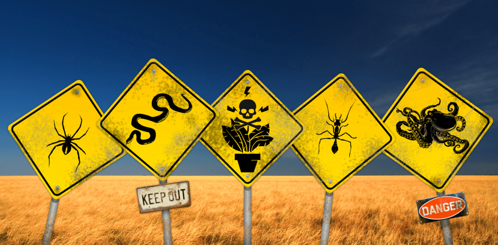 animali mortali australia