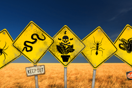 animali mortali australia