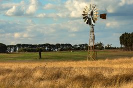 lavorare in una fattoria australiana