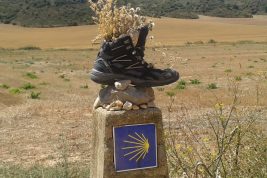 il cammino di santiago by paola grieco