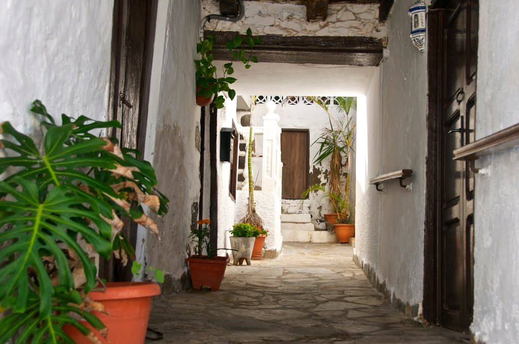 Tenerife: andare in pensione nel’isola dell’eterna primavera