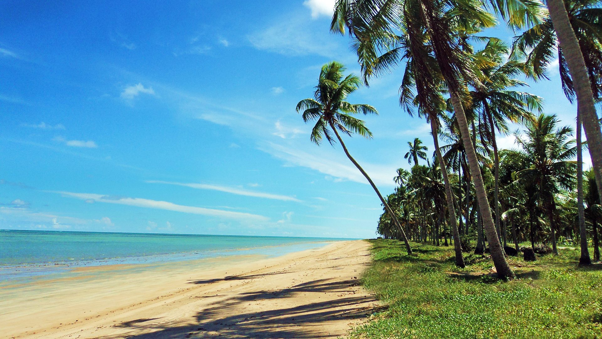 Maragogi - piscine naturali
