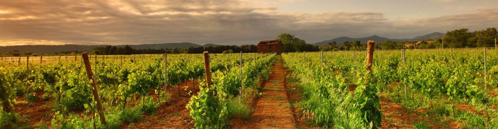 lavorare in australia