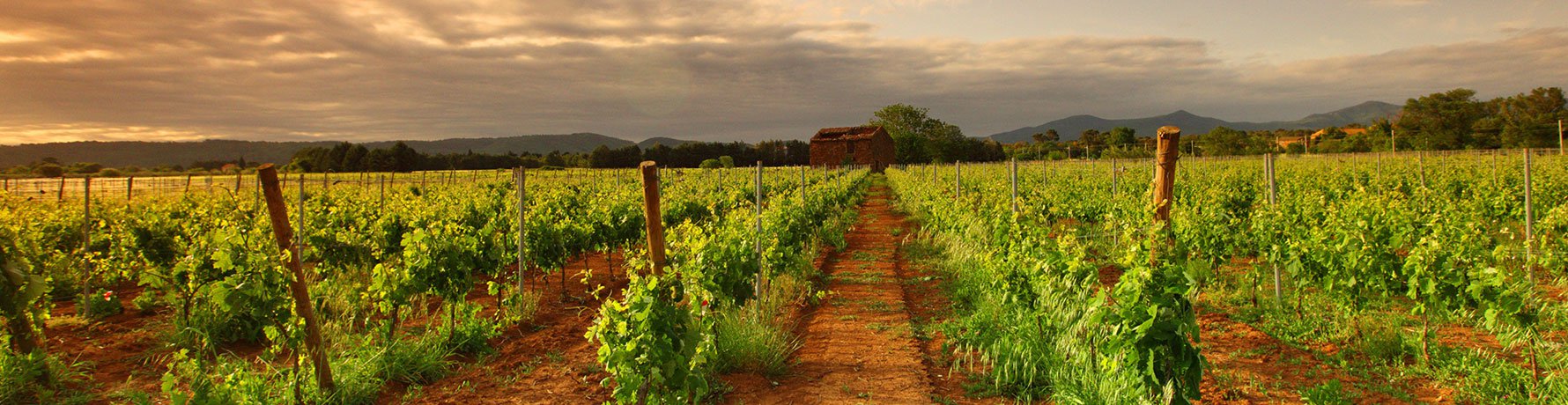 lavorare in australia