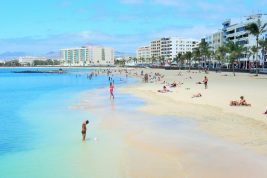 infocanarie fabio chinellato