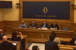 cervelli in viaggio massimo veccia