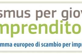 Erasmus per i giovani imprenditori