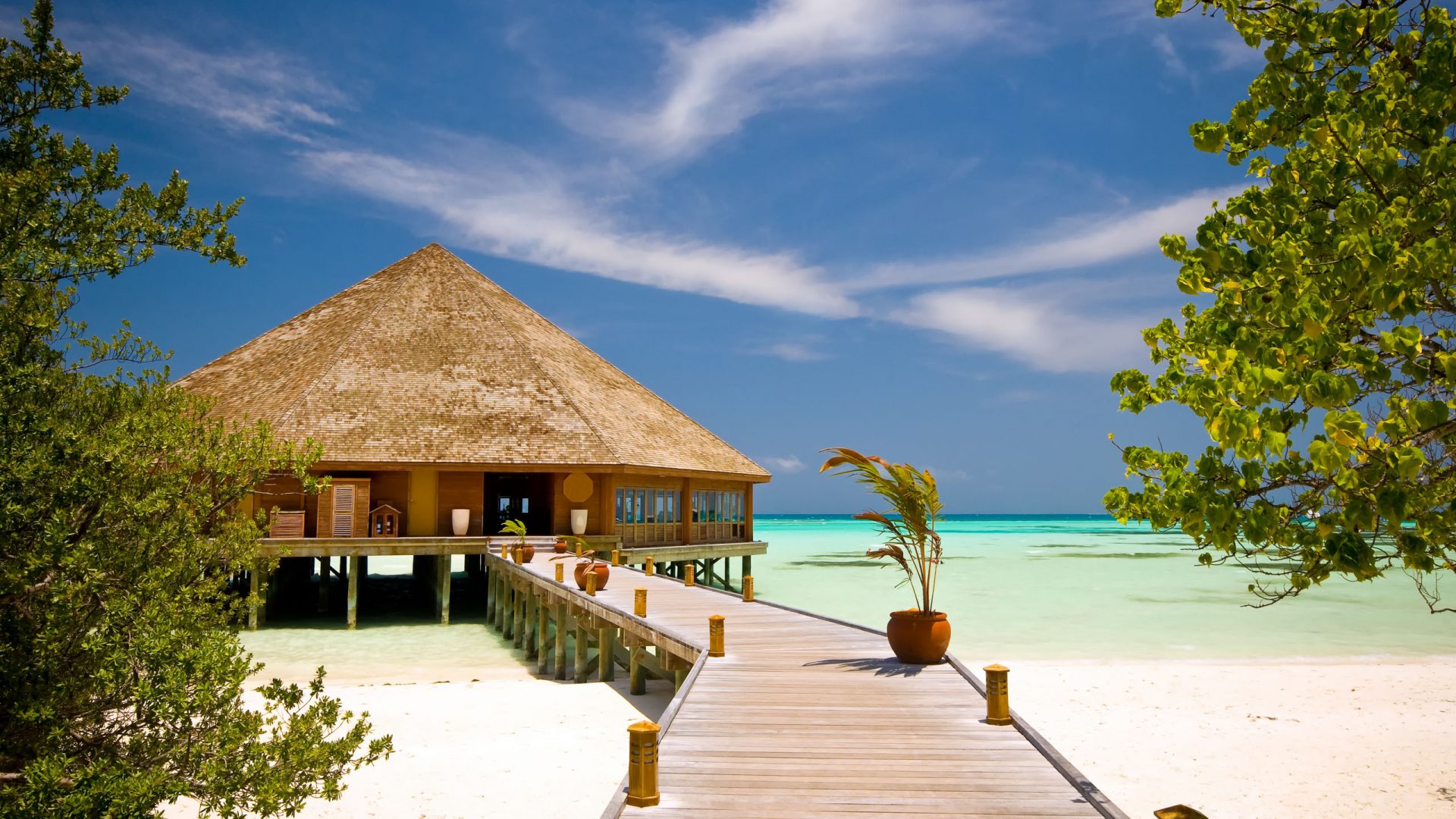 diventare hotel manager