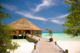 diventare hotel manager