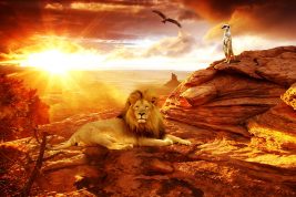 Fare impresa in Africa partendo da uno stage