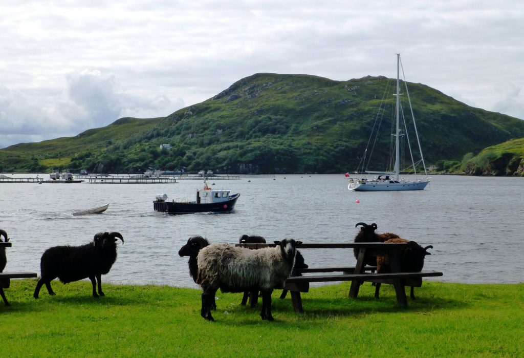 Vendesi isola in Scozia, completa di scuola ed ufficio postale