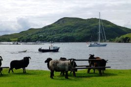 Vendesi isola in Scozia, completa di scuola ed ufficio postale