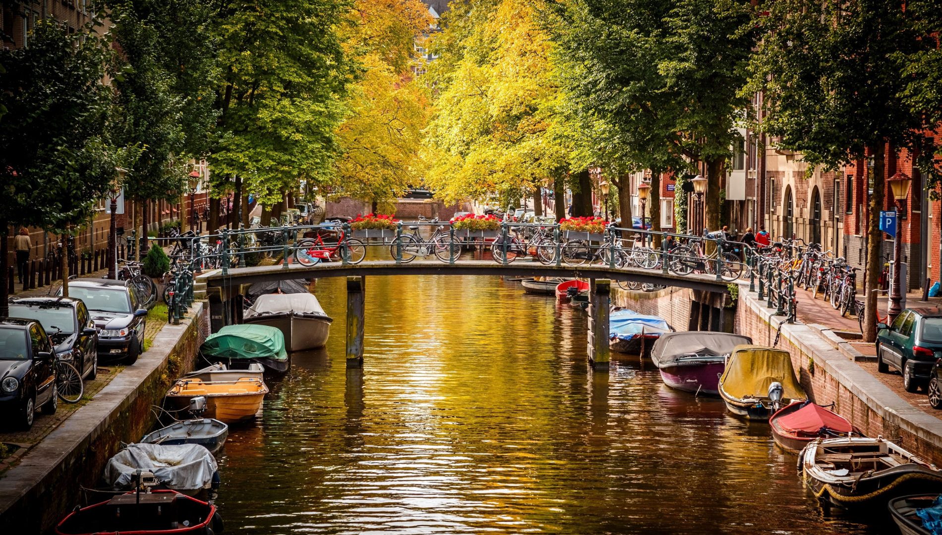 cose che non sai su amsterdam