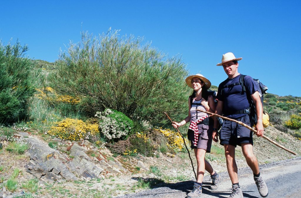CAMINO DE SANTIAGO