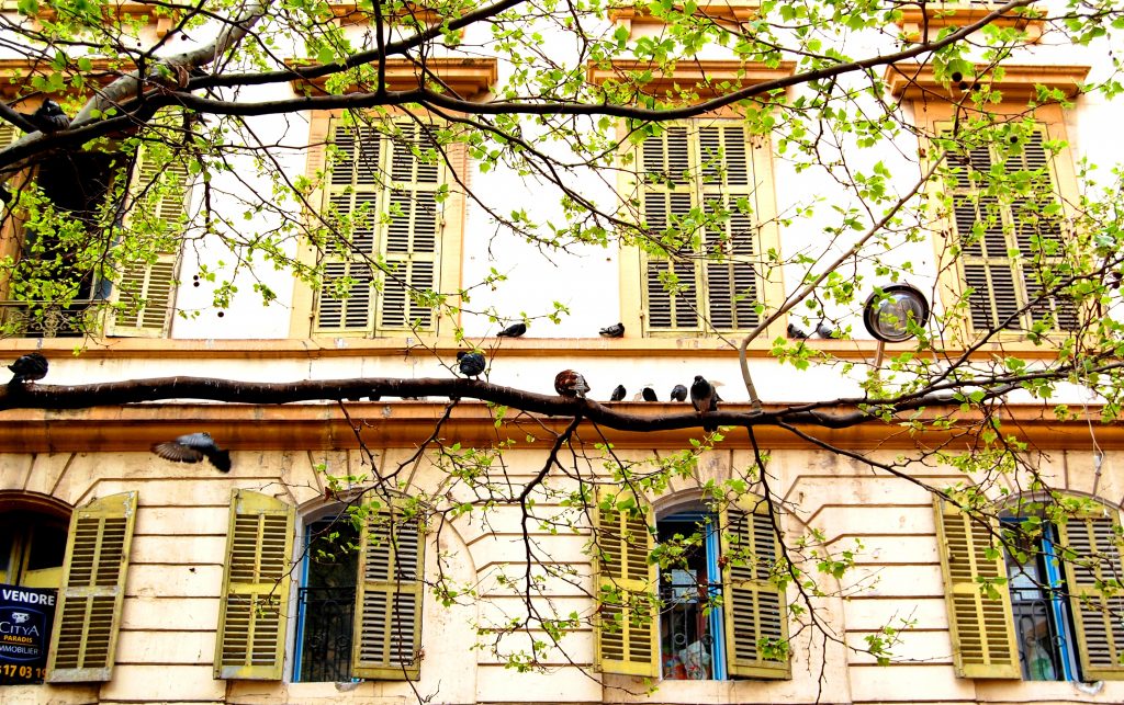 Nicola Lecca presenta “I colori dopo il bianco”