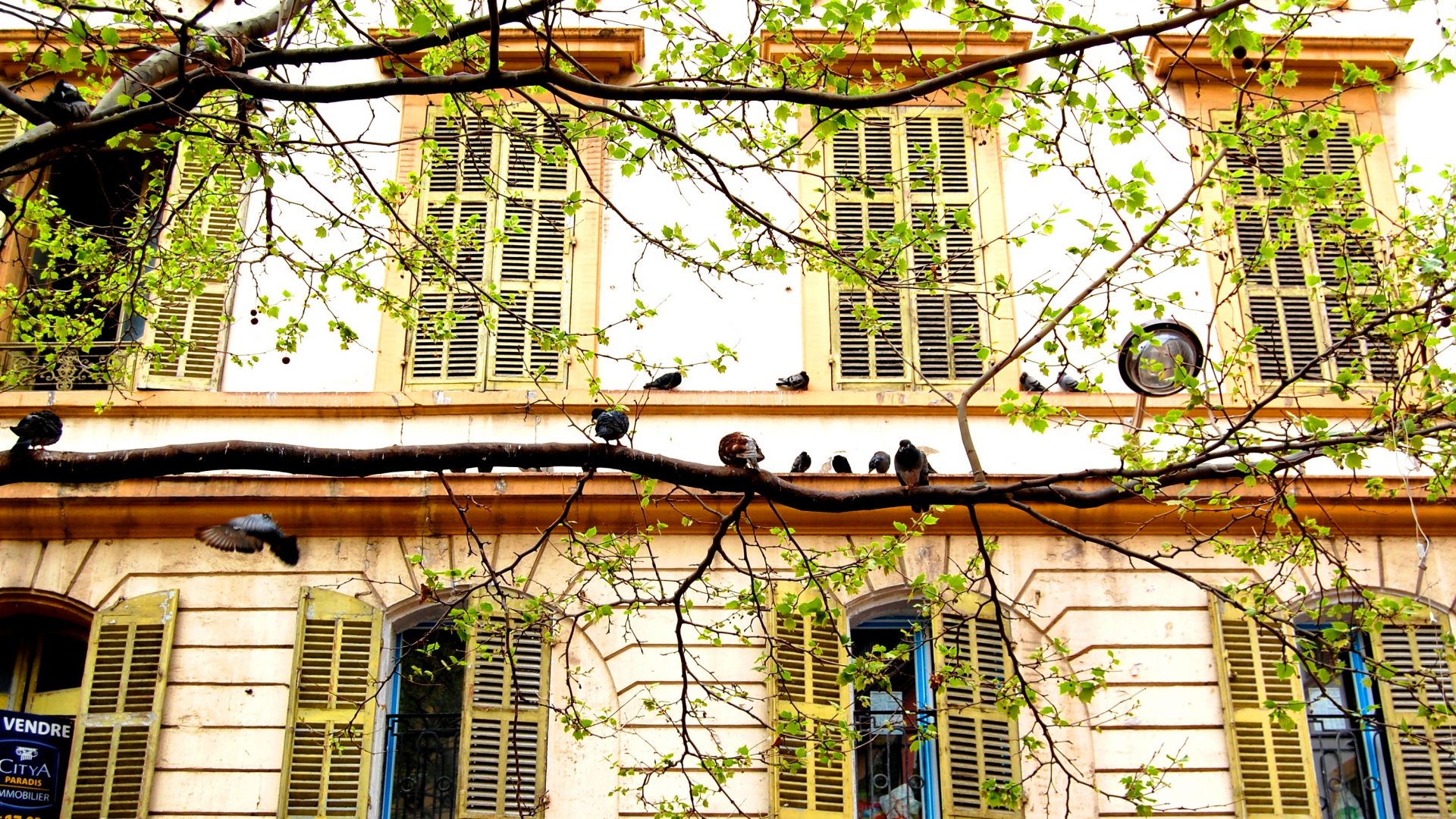 Nicola Lecca presenta “I colori dopo il bianco”