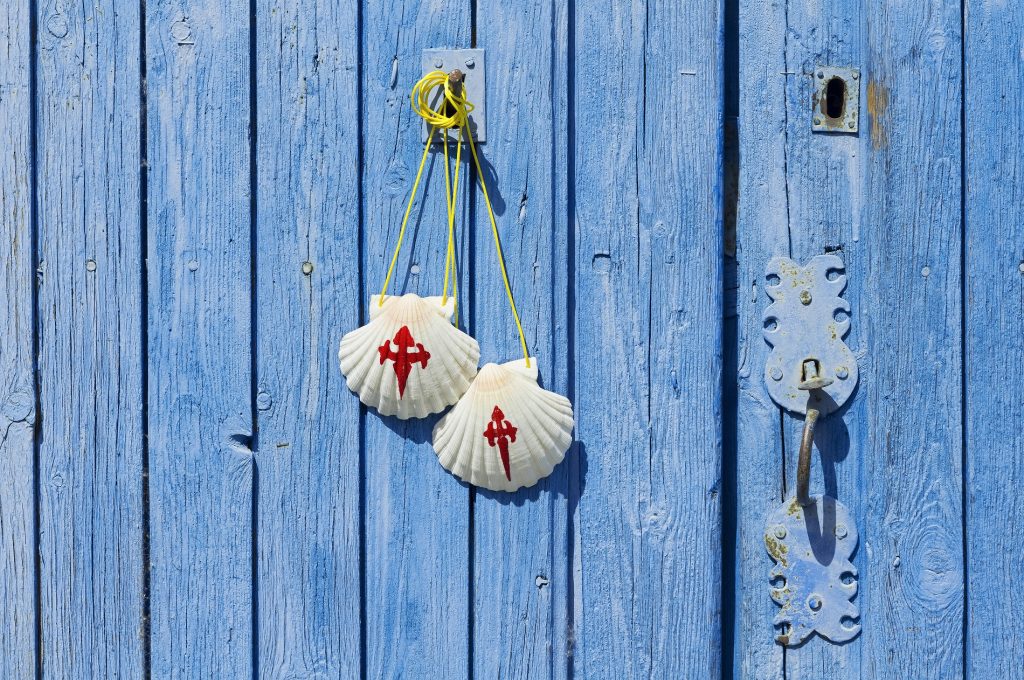 camino de santiago - bonamici