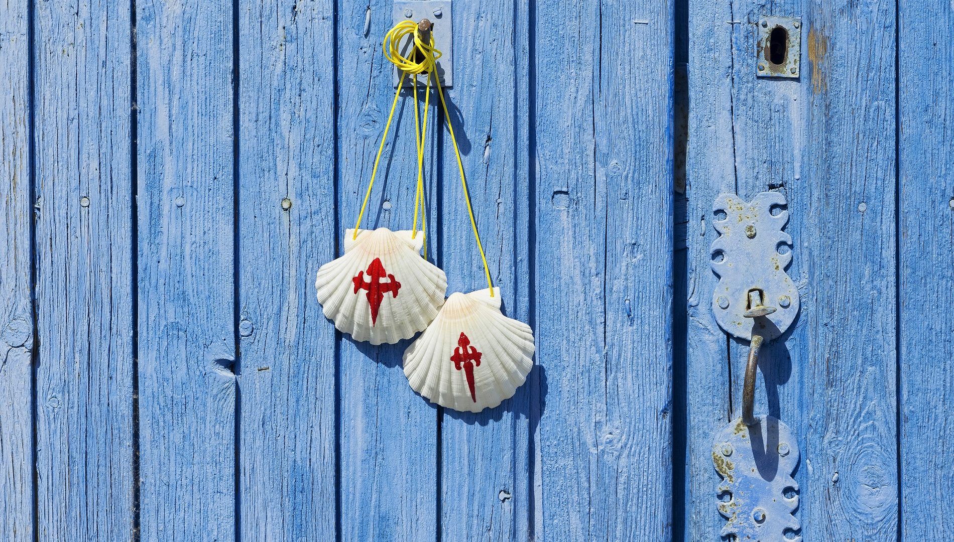 camino de santiago - bonamici