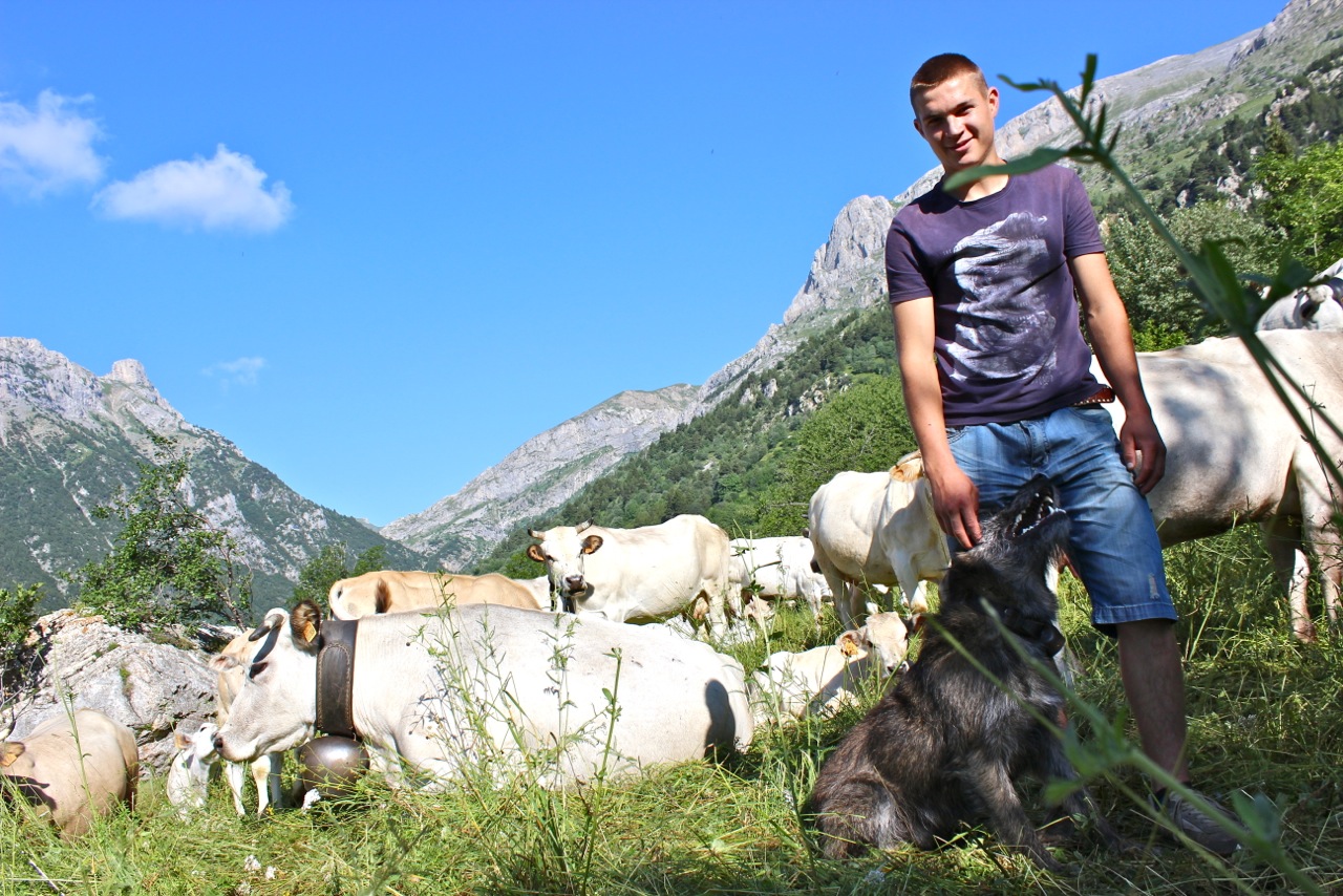 Cercasi volontari sulle Alpi Orobie per vivere un’estate da pastori