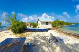 Un paradiso tropicale in vendita: isola dei Caraibi all’asta su eBay