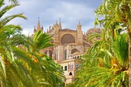 palma de mallorca