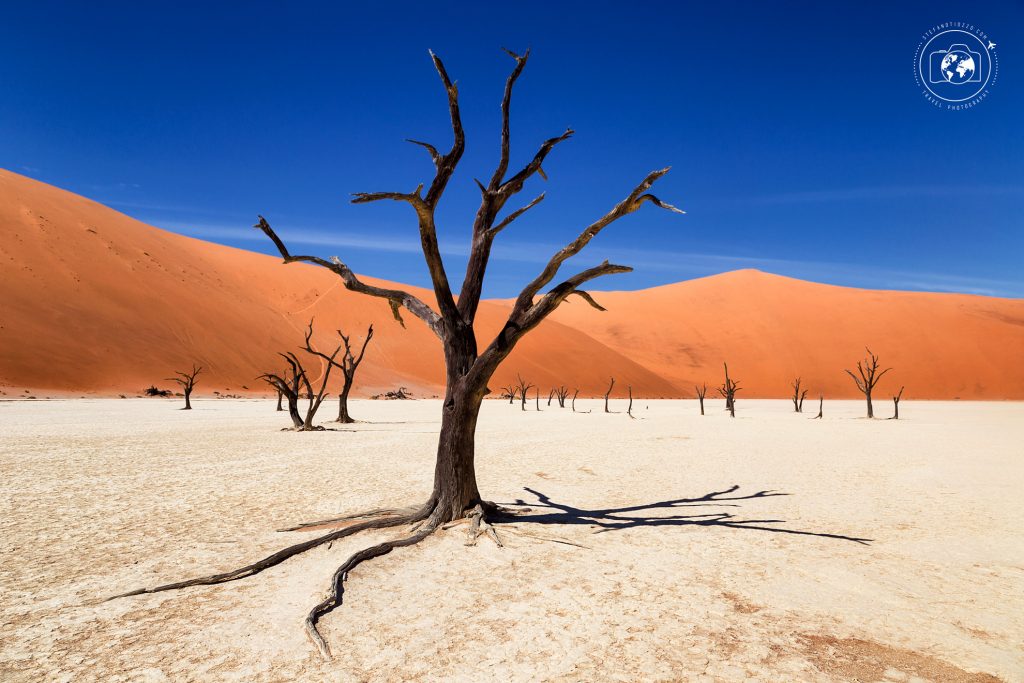 Stefano Tiozzo, fotografo e videomaker.