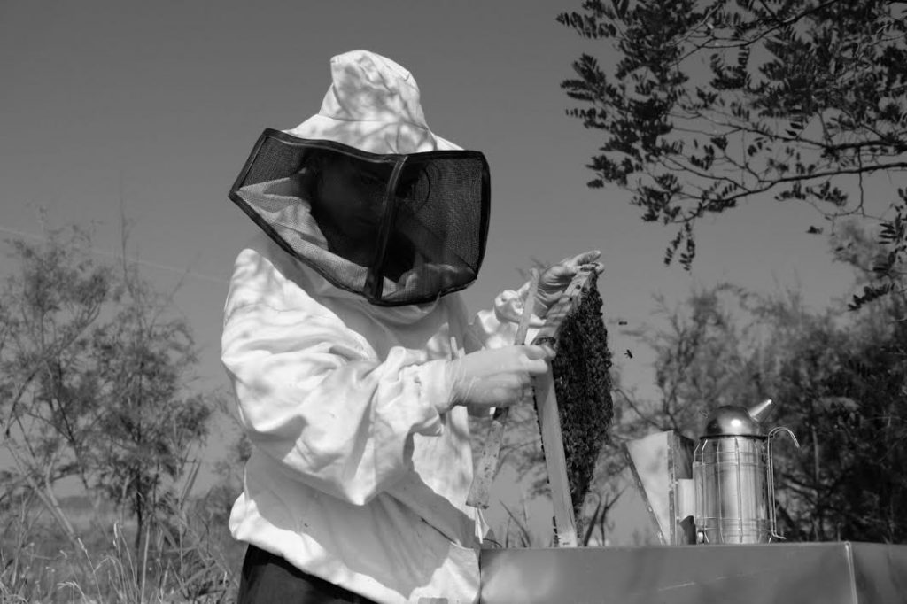 Viola Servi: la mia strada verso l’apicoltura